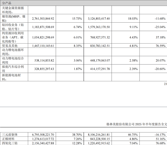 两年半累亏近10亿，广东五兄弟创立的电池回收公司第三次冲击IPO