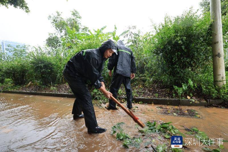 从“山竹”开始，深圳这家企业每遇台风都组织员工排险清障