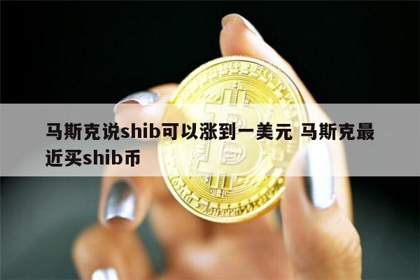 SHIB是叫什么币(shib属于什么币种)