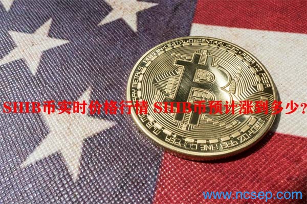 v神说shib币官方最新信息的简单介绍