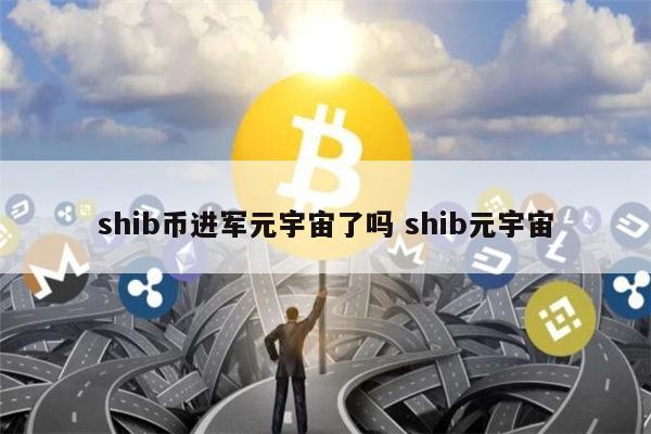 shib币目标(shib币前景不可限量)