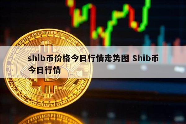 shib币目标(shib币前景不可限量)