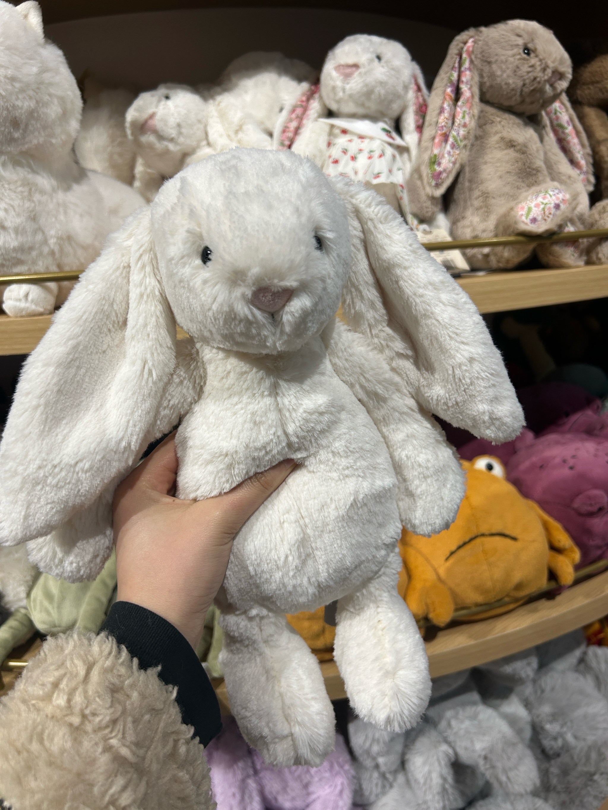 BKOEX(别克偶尔显示请检修车辆)